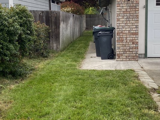 Side yard after.