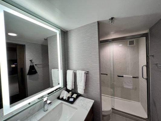 Suite bathroom