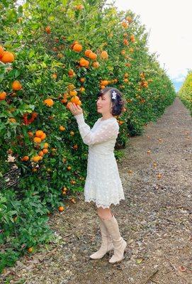 Fresno County Fruit Trail