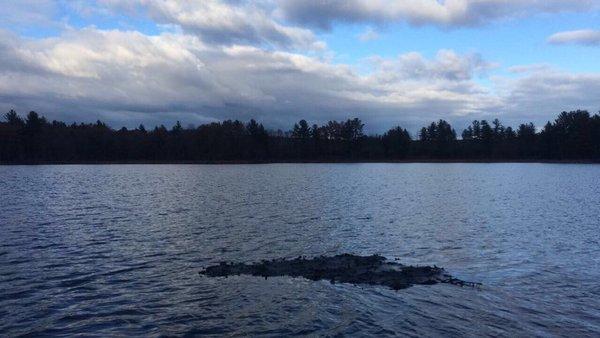 Lankin Pond