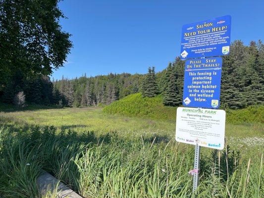 wetland that is next to the parking lot