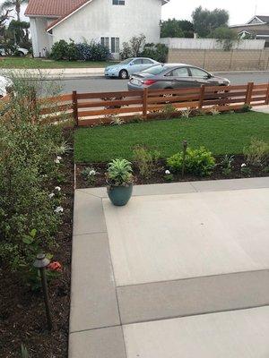 privacy trees to block neighbors, new hardscape and planter to separate from grass