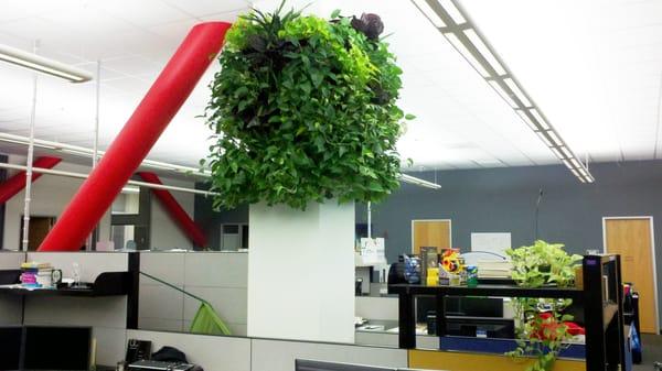 How about a green wall in the middle of the work area, yet out of the way?