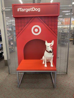 Take a selfie with the #TargetDog