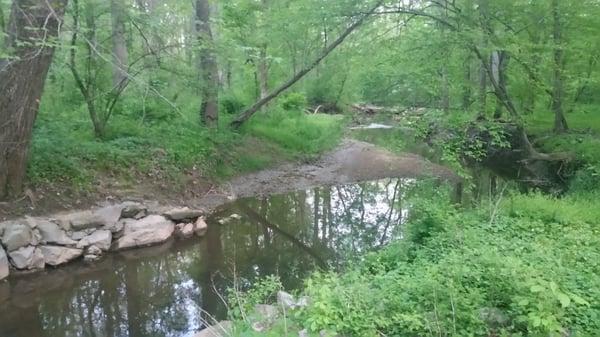 Sally Ormsby Park:  Accotink Creek