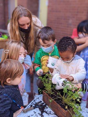 Rose Hill Montessori of Manhattan