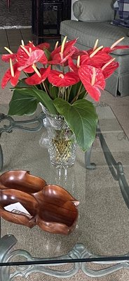 Anthuriums