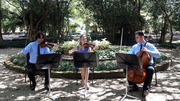 Arco Music String Trio