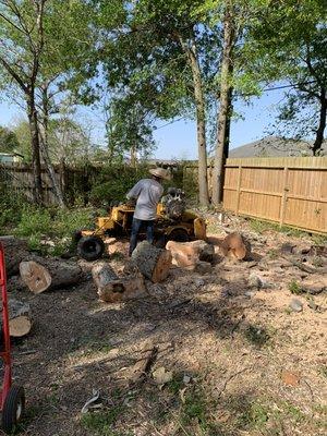 Stump grinding removal