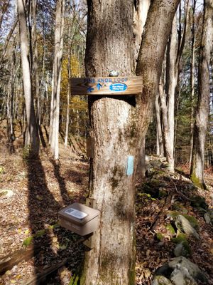 Pine Knob Loop trail