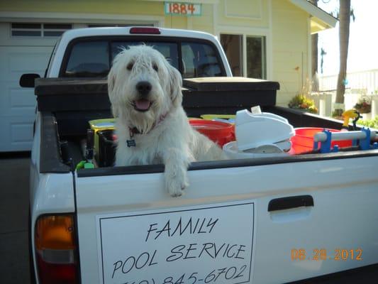 Quality pool service at affordable pricing.