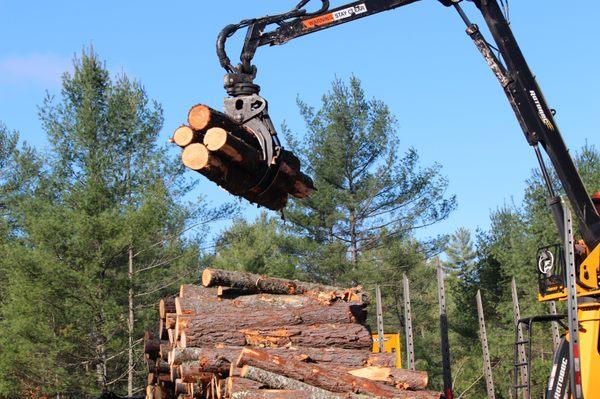 Tree Harvest Tree Service