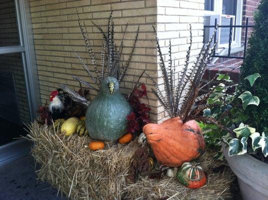 Serendipity with gourds!