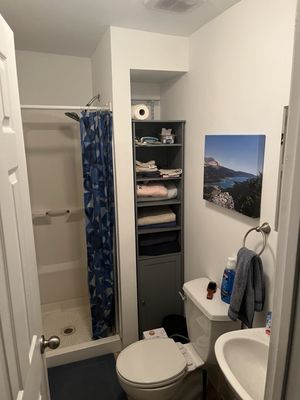 The before of what the bathroom looked like before