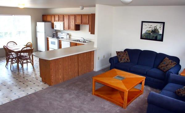 Modern furniture in furnished units