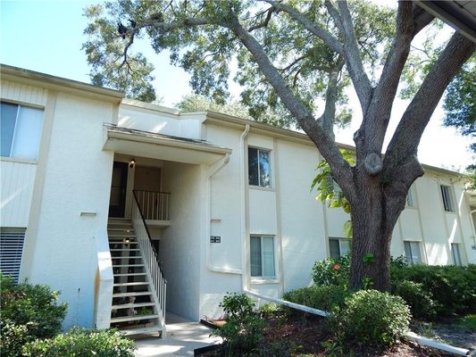 Condo for RENT. 2B/2B located at 204 Palmetto Ct in Oldsmar. Offered at $1,200 per month