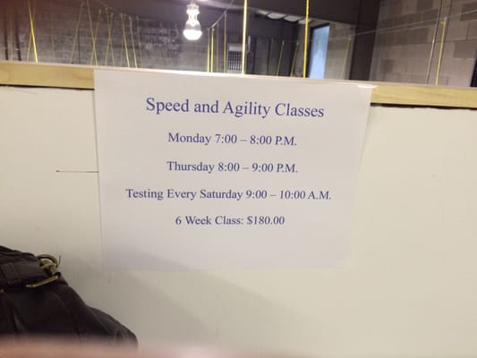 Speed and Agility Class! Gets your team player in condition.