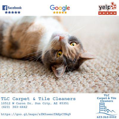 TLC Carpet & Tile Cleaners