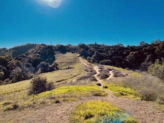 One of many hiking trails @ Bonnie Cove Trail in Glendora