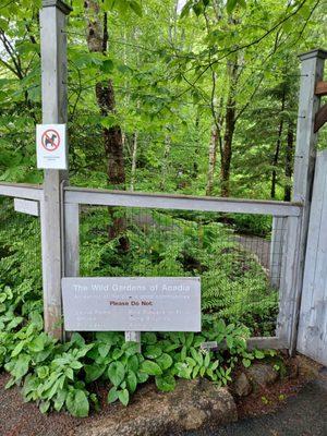 Wild Gardens of Acadia