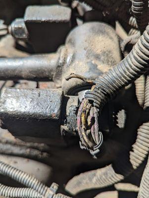 Damaged Electrical conductors Repair.