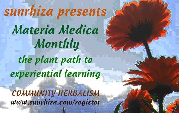 learn more about our herbal learning community @ www.sunrhiza.com