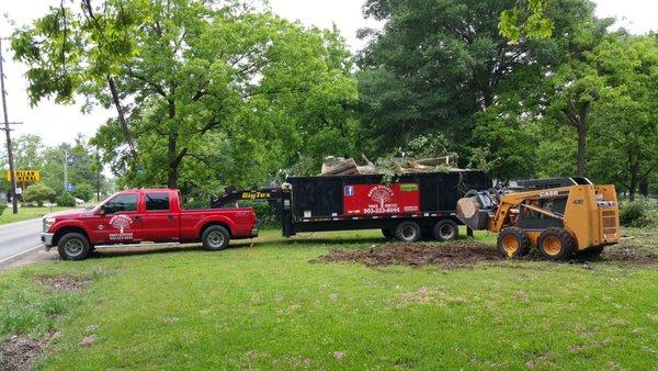 David Ousley's Tree Service