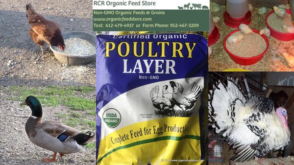 Organic Poultry Layer.  Certified Organic by MOSA, GMO Free verified.  Available in both soy and soy free.