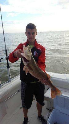 Fish Ohio 28" Walleye!