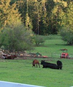 farm from a distance