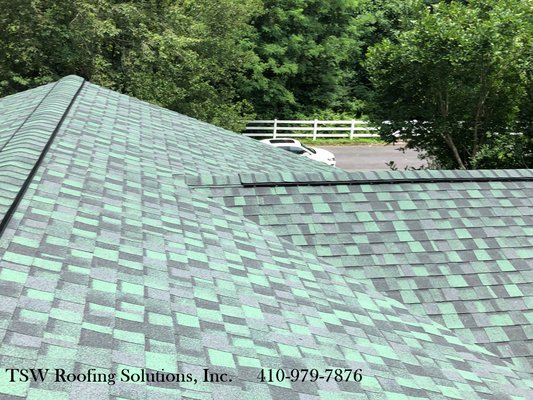 Landmark Max Def Green shingles