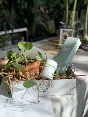 Build a Plant Box with Candles, Plant Accessories, Chocolates,  etc.