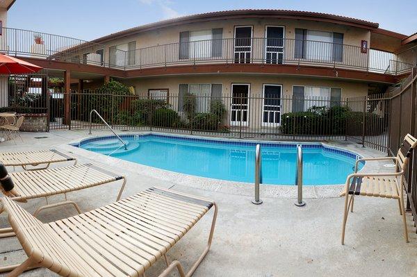 The pool this morning!  Don't you love California living?