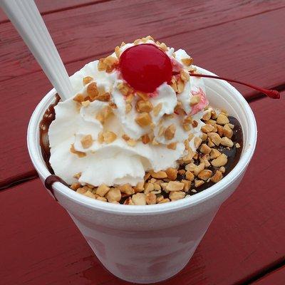 Large Hot Fudge Sundae