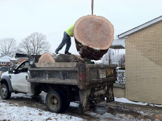 We can handle ANY tree.