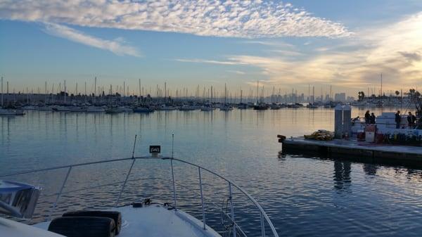 America Cup harbor from Brokaw Yacht