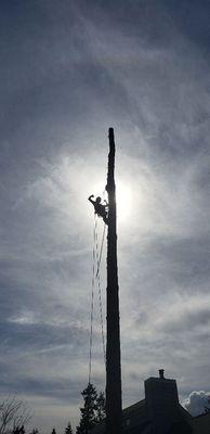 Olympic View Tree Service