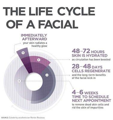 The life cycle of a facial