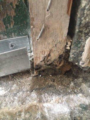 Black mold on door frames near inside of building