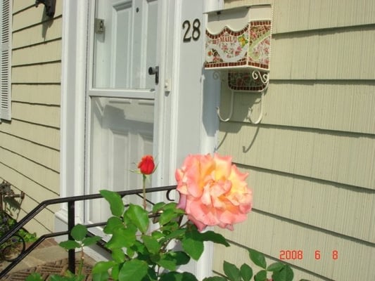 Front door & Roses