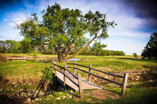 North Lake Bridge to the largest willow tree in Kansas!