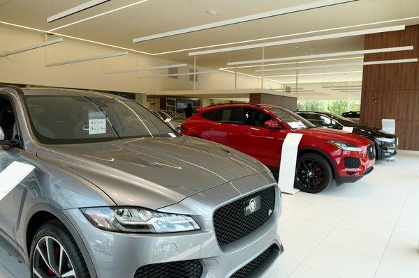 Jaguar Louisville showroom