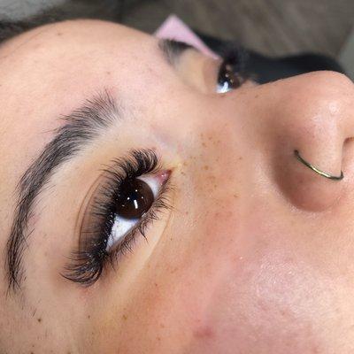 Volume Lashes