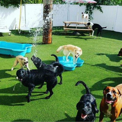 Outdoor fun on our fully turfed play areas!