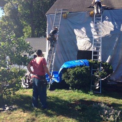 Preparing the front of the house for a roof stripped off. This protects the siding ,windows and the shrubbery from damage from the shingles