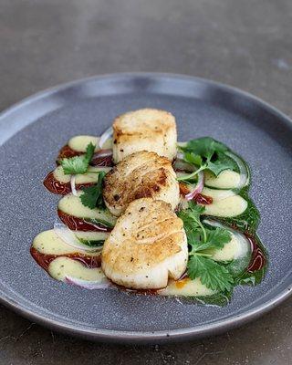 Pan Seared Jumbo Sea Scallops