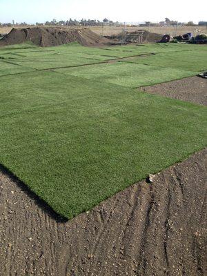 Recycled Artificial Grass San Diego, Used Artificial Turf San Diego, http://www.TSTurf.com