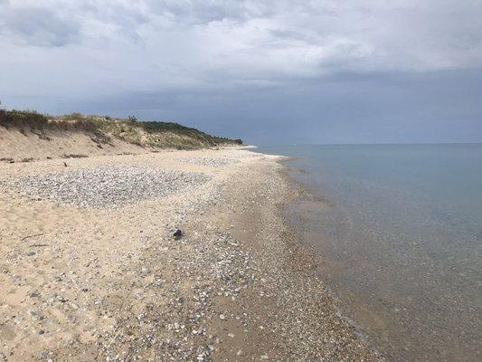 Looking down the shoreline.