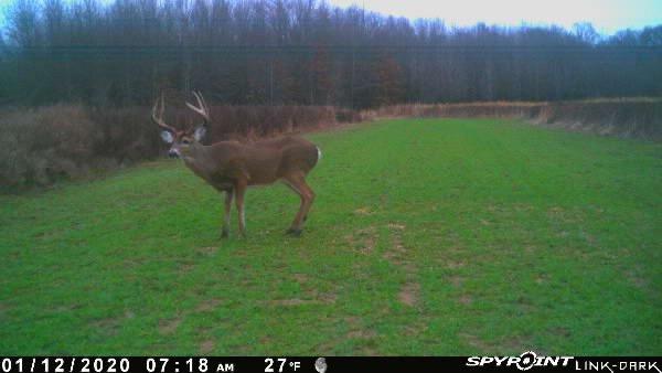 Trophy whitetail properties