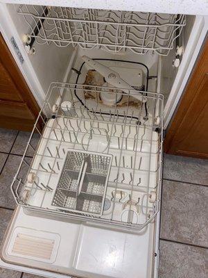 Putrid waste in dishwasher.